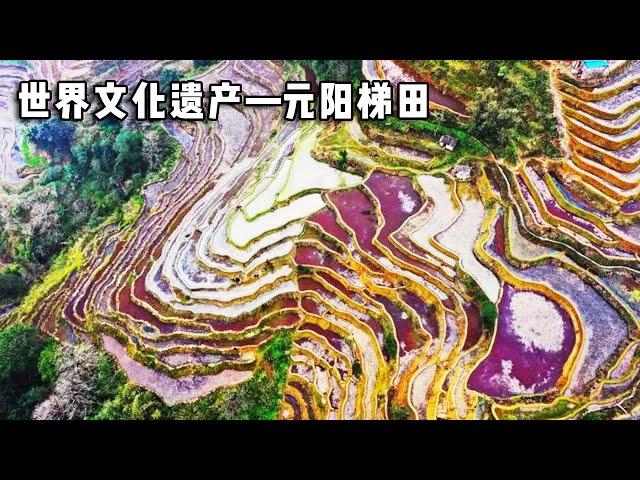 The first world cultural heritage! The magnificent Yuanyang terraces have never been here. It is a