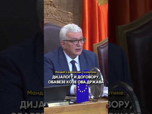 Mandić - Odblokiran rad Skupštine Crne Gore, nemamo više vremena za čekanje!