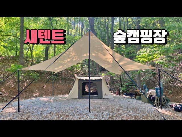 4K [포토라이tv] 여름캠핑을 위한 새텐트 구입 | 명당 숲사이트에서 새텐트와 | 강화도 더숲 캠핑장 | 듀랑고 미니 | 면타프 면텐트 | 미니멀캠핑? | camping