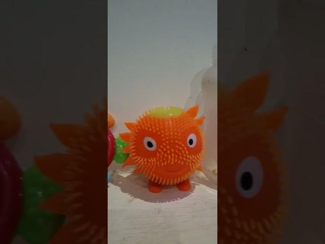 Akshay Toys