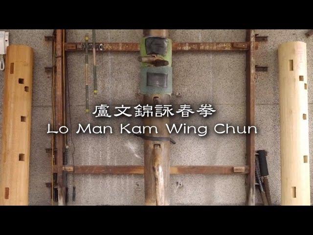 盧文錦詠春拳館回顧影片 Lo Man Kam Wing Chun Recalling Movie