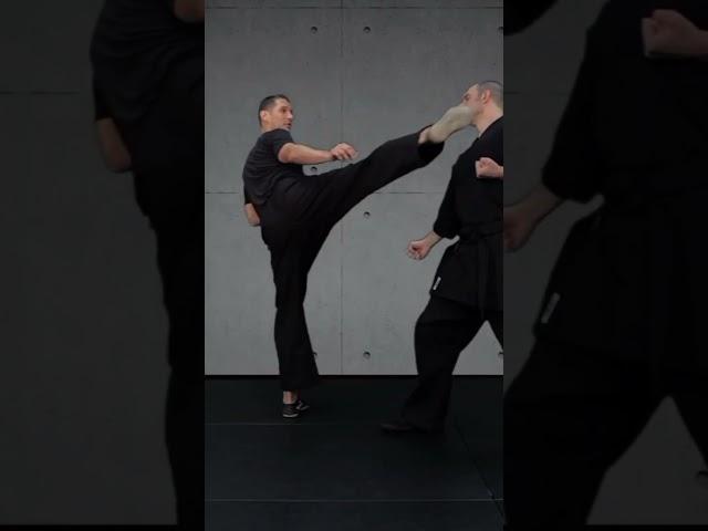 Crane Kempo #kempo #martialarts #shorts