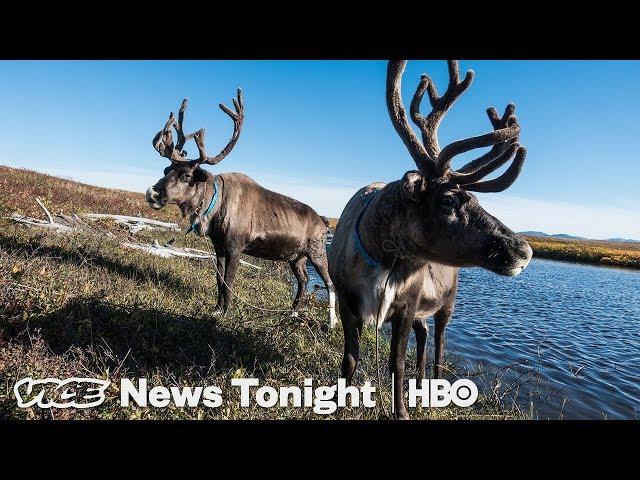 “Drunken Forests” In Alaska Are Another Sign Of Melting Permafrost (HBO)