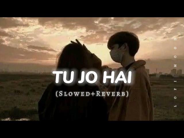 Tu Jo Hai To Mai Hu (SLOWED+REVERB) Song || Lofi Mood 