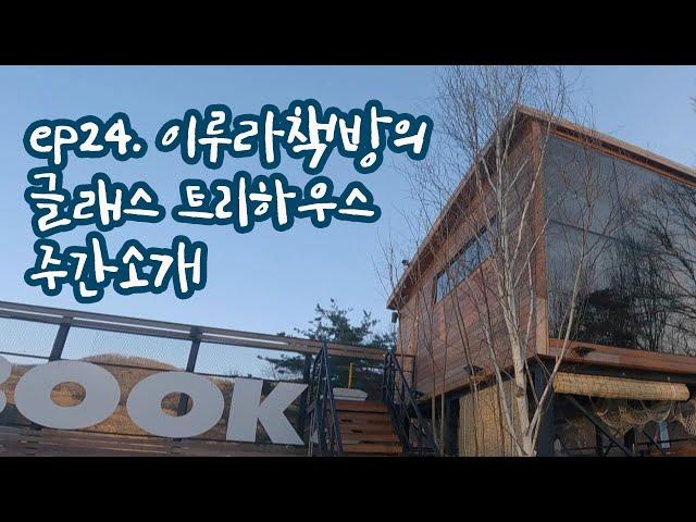 ep24 (주간소개) 강화도 트리하우스 이루라책방의 글래스 트리하우스