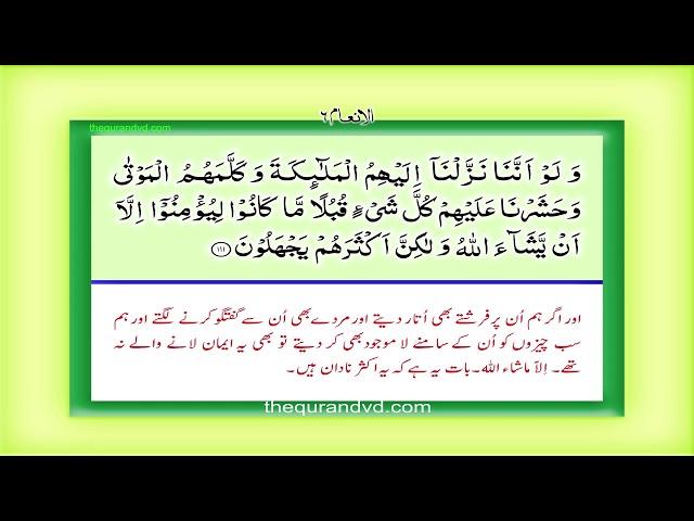 Para 8 - Juz 8 Wa law annana HD Quran Urdu Hindi Translation