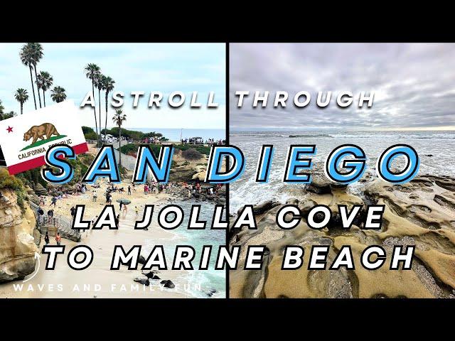 A Scenic Stroll in San Diego, California: La Jolla Cove to Marine Street Beach