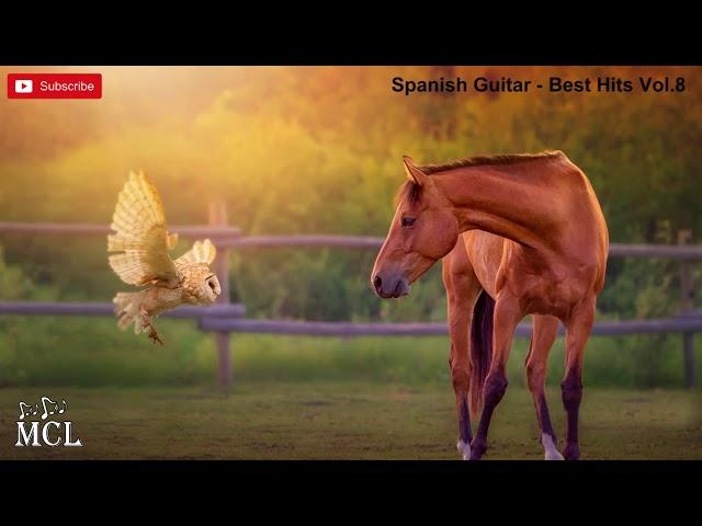 Spanish Guitar - Best Hits Vol.8