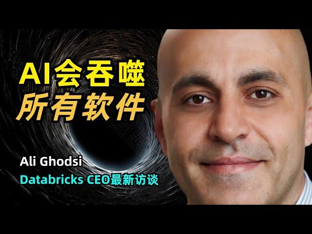 【人工智能】AI会吞噬所有软件 | Databricks CEO 阿里·戈德西最新访谈 | 数据的重力 | Spark | MosaicML | Data Lakehouse | 企业级模型