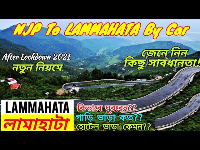 NJP To Lamahatta by Car Via Rohini Road|Lamahatta Tour Plan|Lamahatta Darjeeling|peshok| Lamahatta