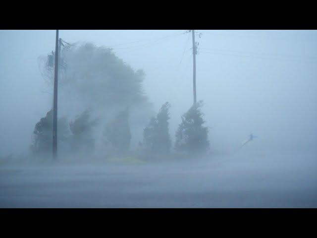  Listen, Relax & Fall Asleep With Heavy Rainstorm & Strong Winds - Hurricane Florence Eyewall Winds