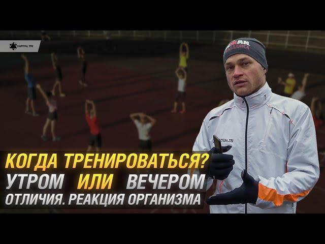 Тренировки утром или вечером? Самое эффективное время. Реакция организма. #ТРИАТЛОН #CapitalTRI