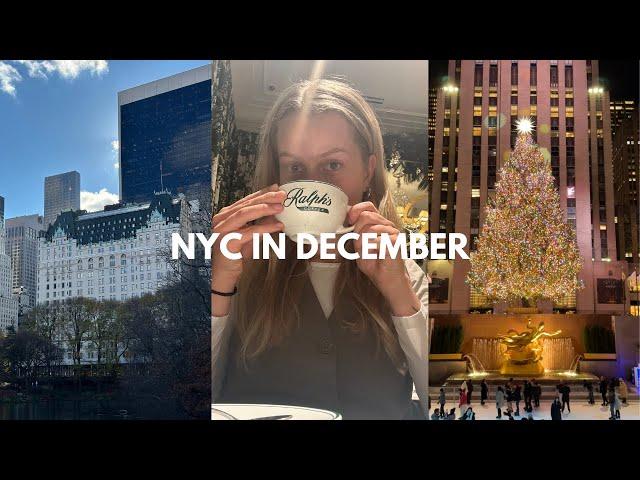 visiting new york city in december | christmas trees, central park, ralph's coffee & more!