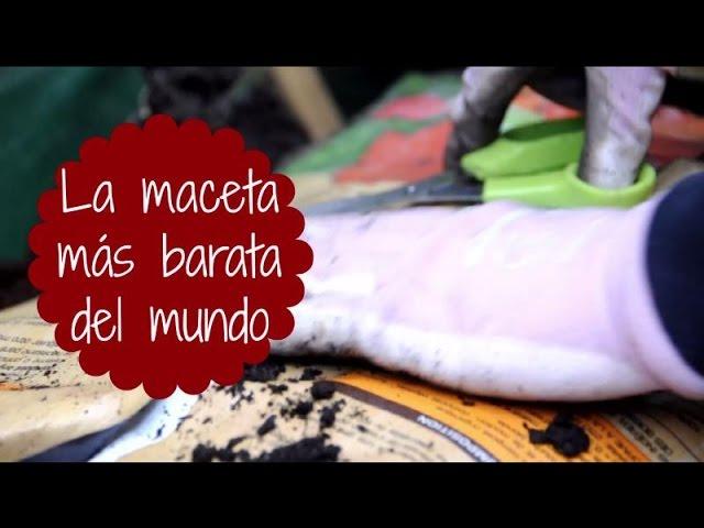 La maceta más barata del mundo | Huerto urbano | Macetohuerto | PicaronaBlog