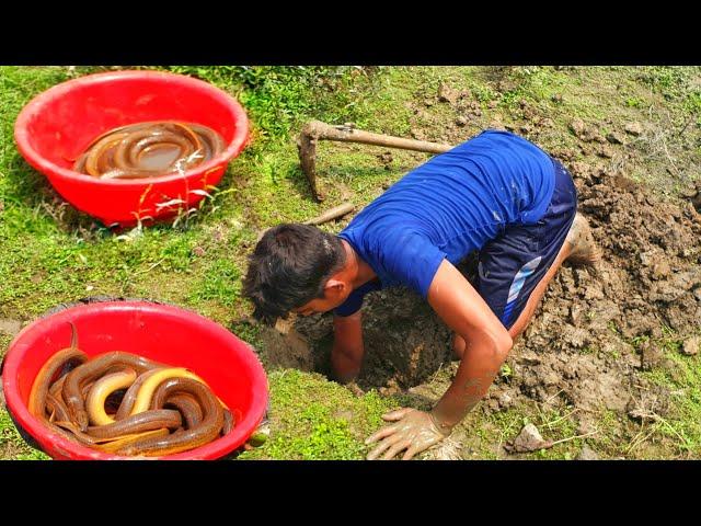 Eel Fishing | Boy Catching Eel Fish From A Deep Fish Hole By Hand