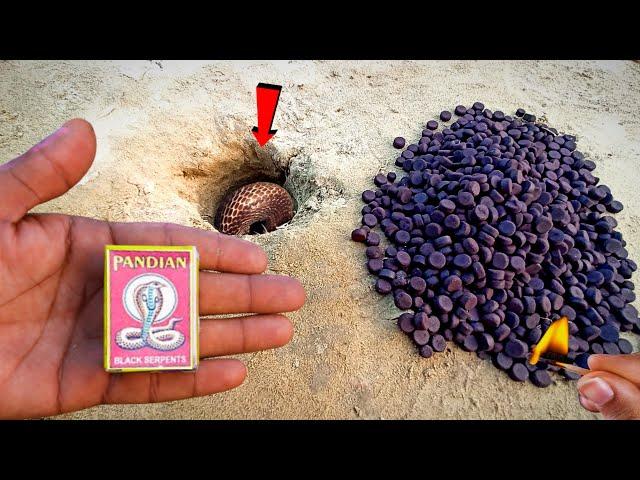 1000 SNAKE BOMB  ~at Once Time Fire Crackers Testing in Diwali 2024 // Cracker Testing 2024