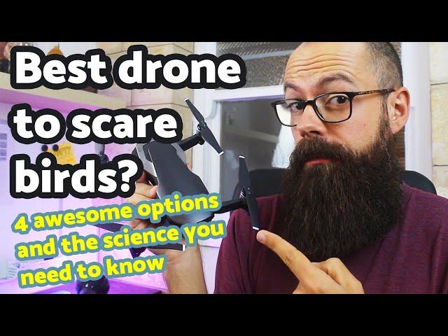 Best drone to scare birds [4 awesome options]