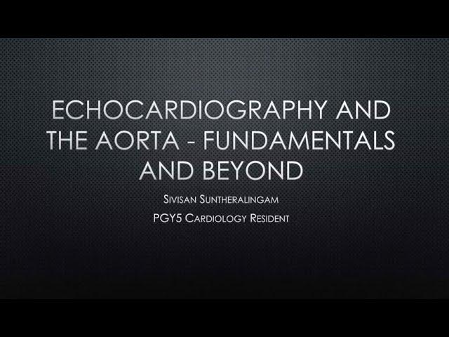 Echocardiography and the Aorta: Fundamentals and Beyond