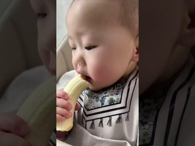 爱吃香蕉的粥粥 萌宝小吃货 妈呀太香了 宝宝辅食 人类幼崽 萌娃