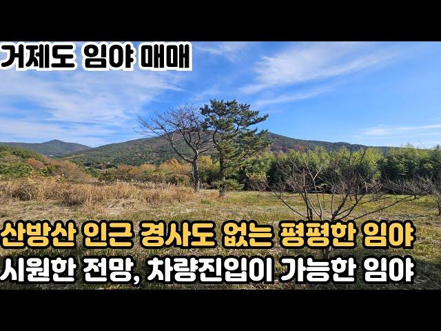 [거제도 임야 매매] 거제시 둔덕면 경사가 완만한 야산 생산관리지역, 전망이 좋고 가격 저렴한 임야 매매