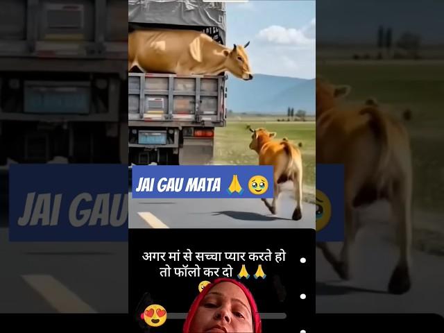 Jai gau mata   #motivation #love #facts #mukesh  kumar jmk