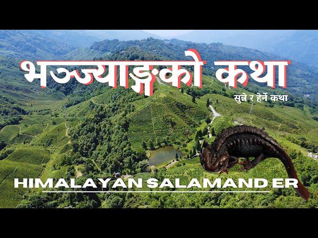 भञ्ज्याङ्गको कथा || सुन्ने र हेर्ने कथा || Himalayan Salamander || Sunne Ra Herne Katha