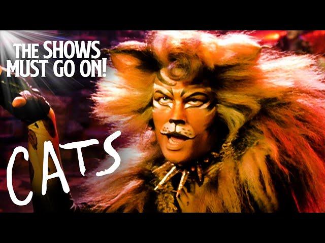 'The Rum Tum Tugger' John Partridge | Cats The Musical