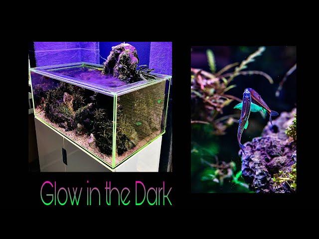 "Glow in the dark" aquascape | Acrylic voodoo-tank | A coin to pay Charon | by Manuel Berg