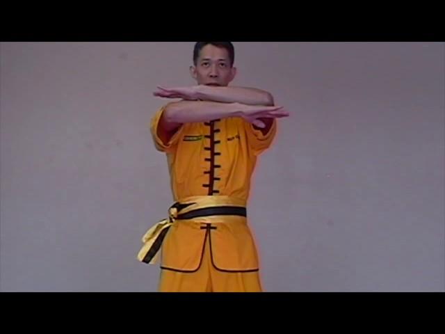 Wing Chun: Lesson 3