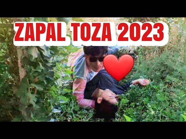 zapal2023 #shok zapal 2023 zapallarni dodasi / запални ёмони запални тозаси @USTALAR TV