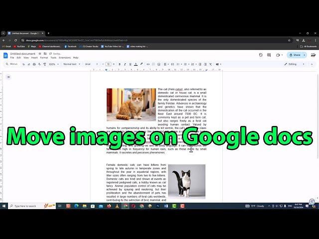 How to wrap text around an image in google docs