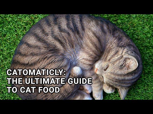 Catomaticly: The Ultimate Guide to Cat Food