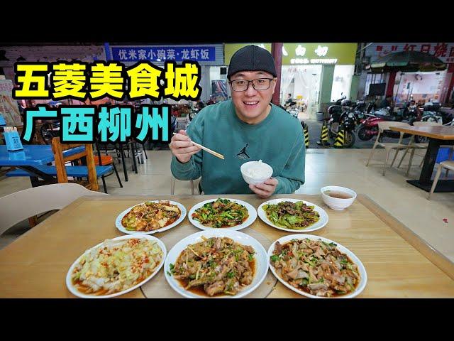 Wuling Food Street in Liuzhou, Guangxi广西柳州五菱美食城，13元小炒菜，2元炭烤肉串，阿星吃博白白切