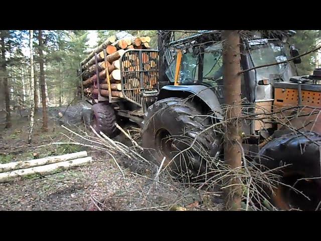 Valtra forestry tractor with big, fully loaded trailer logging in wet forest