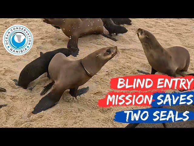 Blind Entry Mission Saves Two Seals