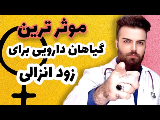 چگونه با استفاده از گیاهان و طب سنتی، زود انزالی را درمان کنیم؟|?treat PE with herbs