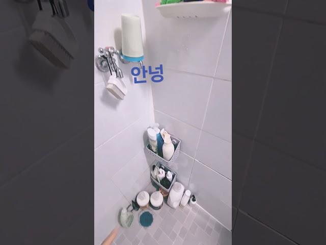 2025년 5월 31일