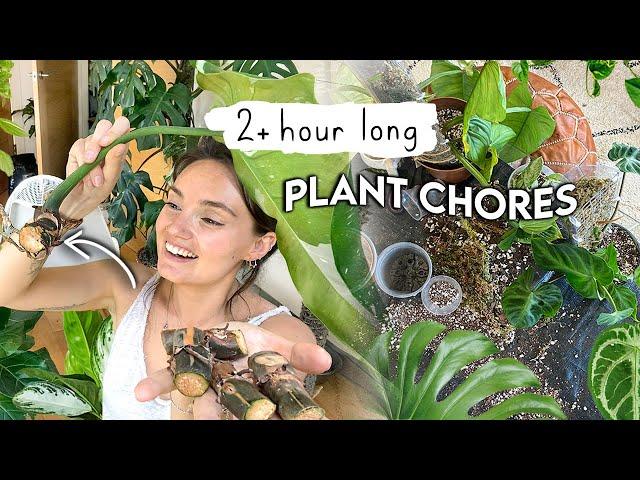 2+ HOURS(!!) of Plant Chores  Long Houseplant To-Do's Vlog | do plant chores with me