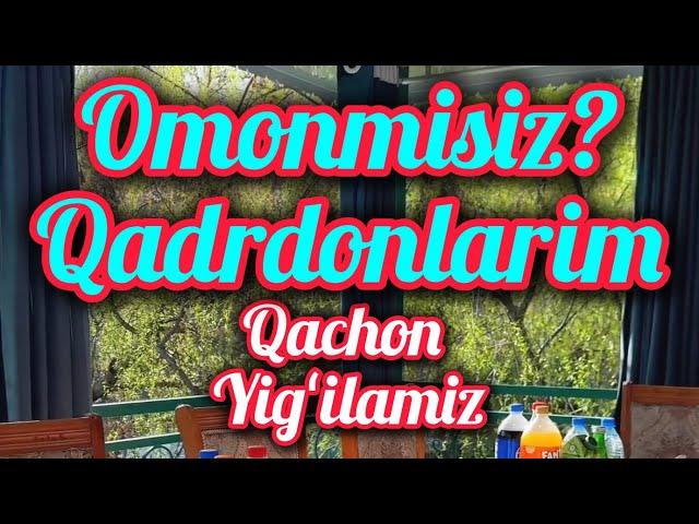 Qachon yigʻilamiz. Mehr oqibat haqida