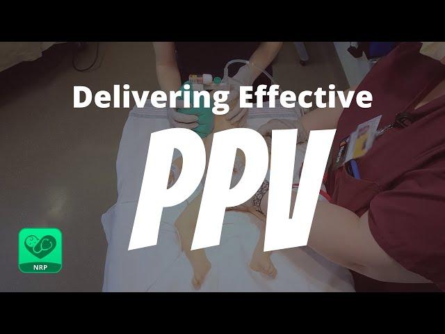 Delivering Effective PPV for Neonatal Resuscitation | NRP Mastery for Nurses