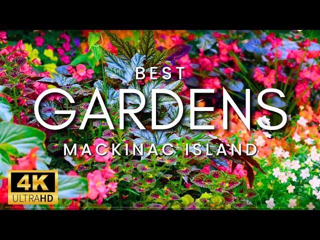 The World's Best Gardens And Flowers | Mackinac Island Garden Tour 2024