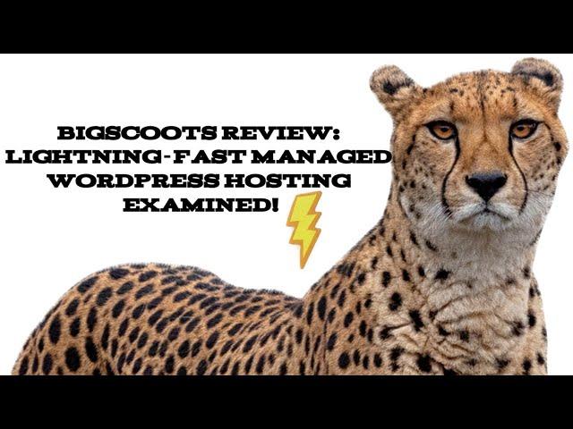 BigScoots Review: Lightning-Fast Managed WordPress Hosting Examined [2024]