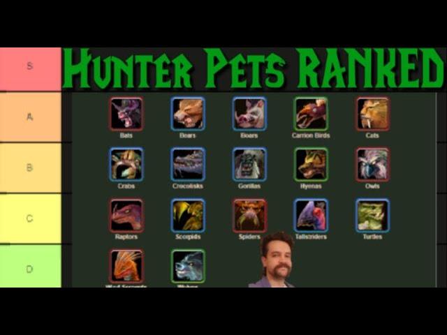 Ranking Classic WoW Hunter Pets - Vanilla SoM