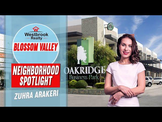 Neighborhood  Spotlight: Blossom valley