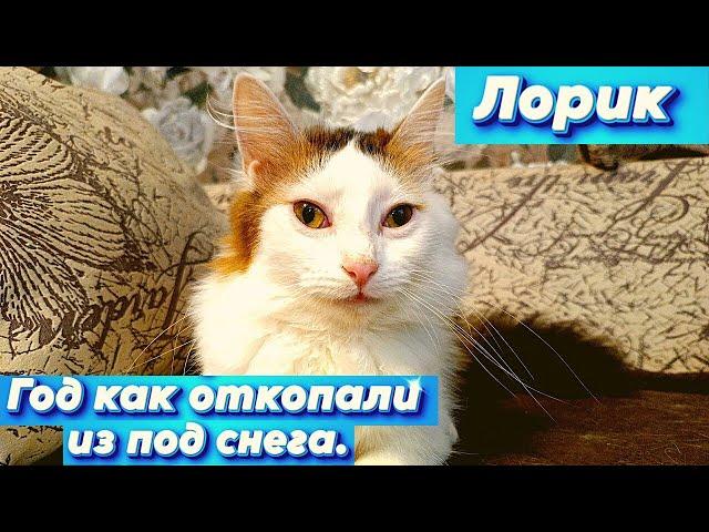 Лорик. Год как откопали из под снега.