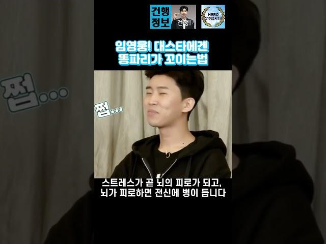 임영웅! 대스타에겐 똥파리가 꼬이는 법 #임영웅 #shorts