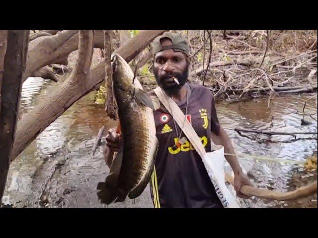 Archery of large snakehead fish. part=02