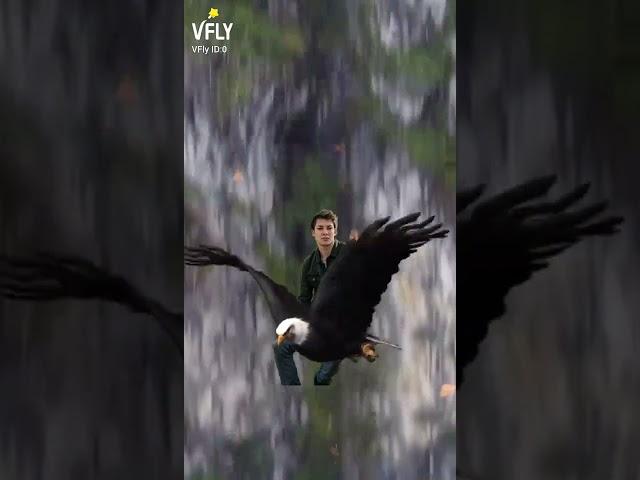 fly and high