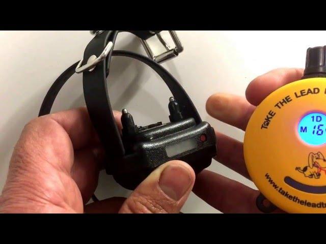 How to use the ET300 Mini Educator e-collar. Features of the Mini Educator