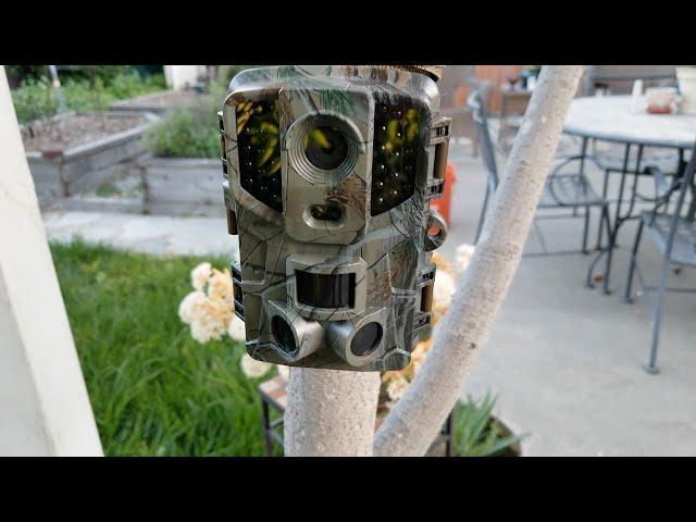VanTop Ninja 1 Trail Camera 20MP 1080P Hunting Game Camera with Night Vision Motion Activated